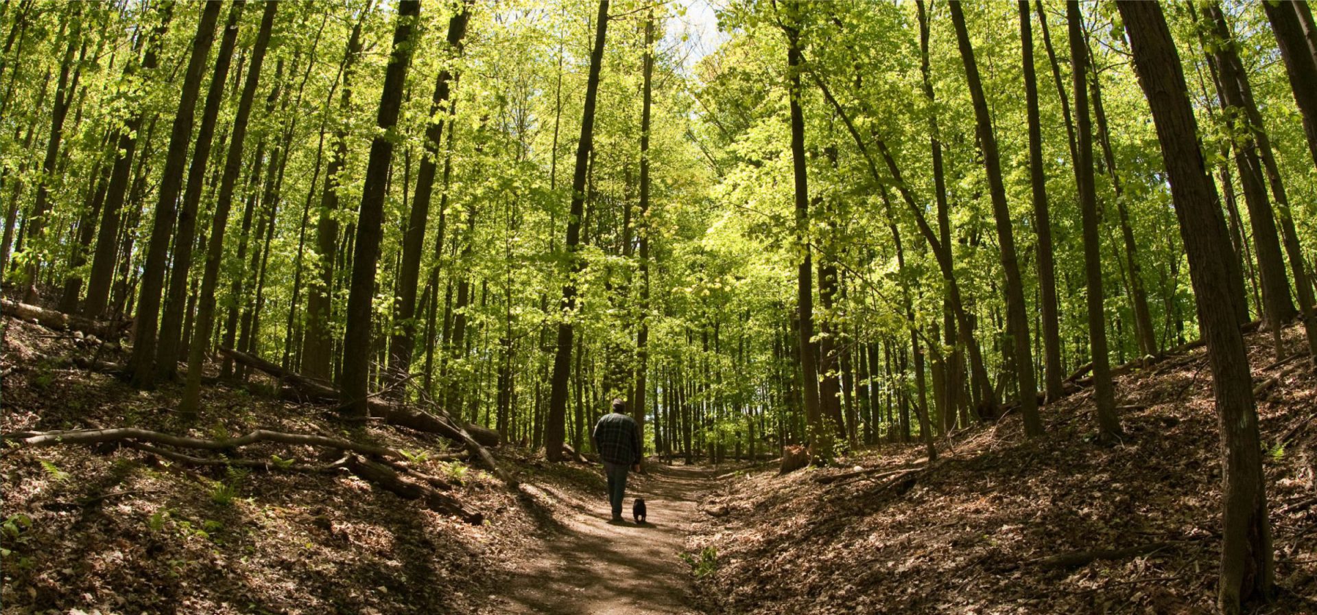 Home Ontario S Conservation Areas   Header Healthy Hikes Back 1920x896 