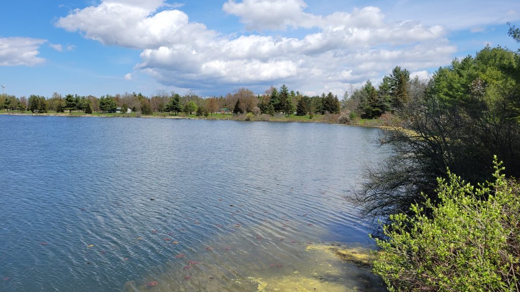 Chippawa Creek Conservation Area and Campground