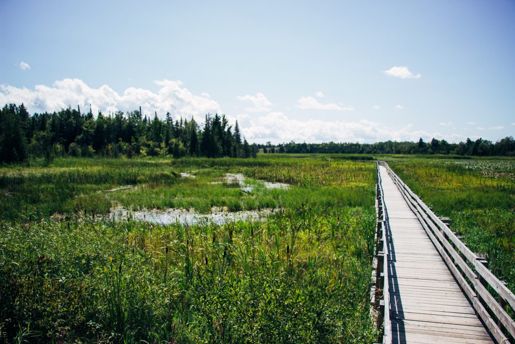 H.R. Frink Conservation Area and Outdoor Education Centre