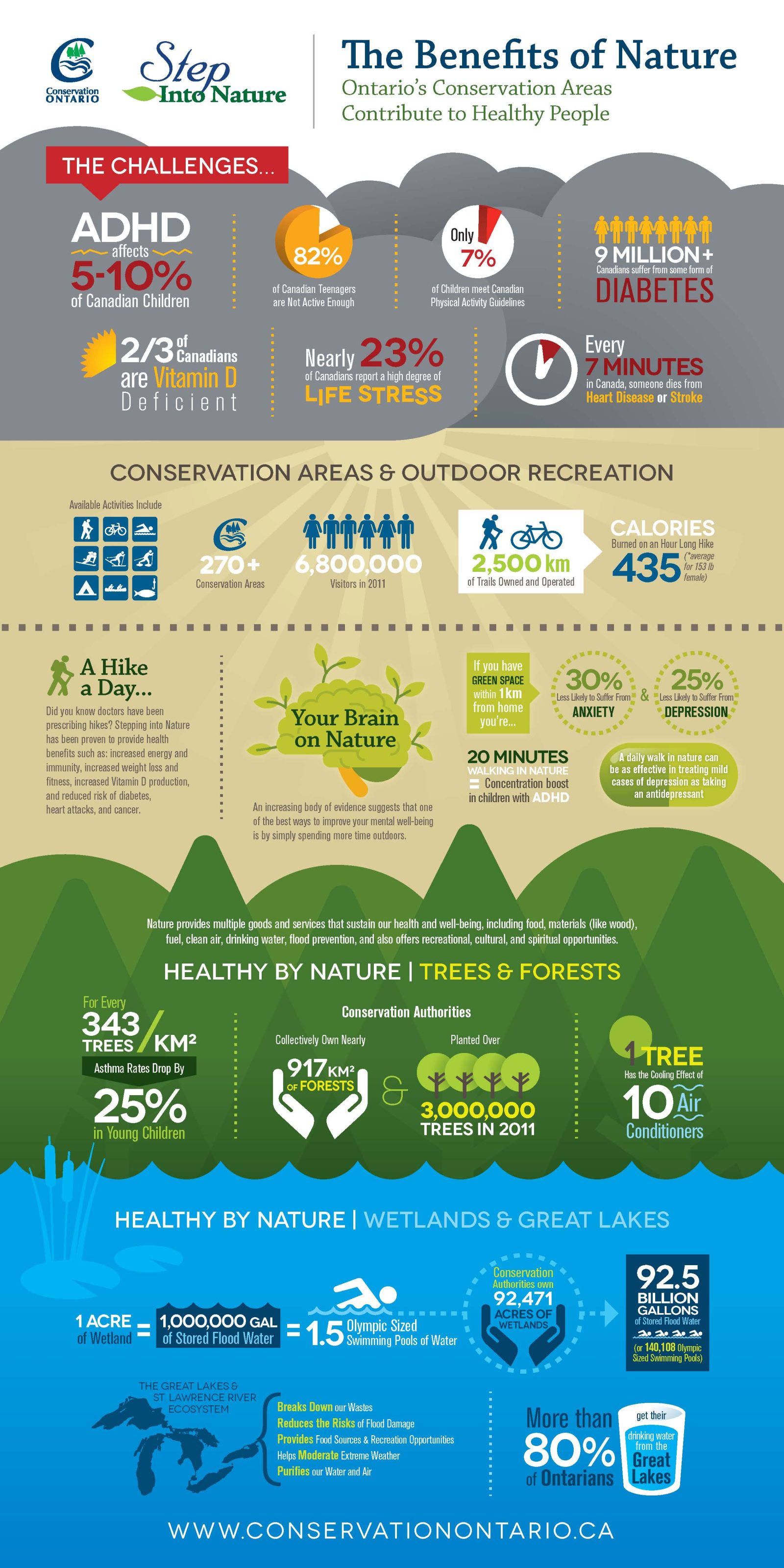 The Benefits of Nature: Ontario’s Conservation Authorities Contribute to Healthy People