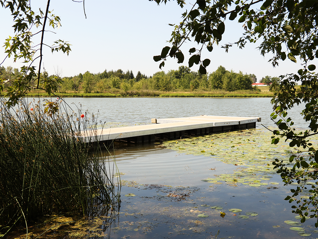 Image of wooden dock at Lake Whittaker.